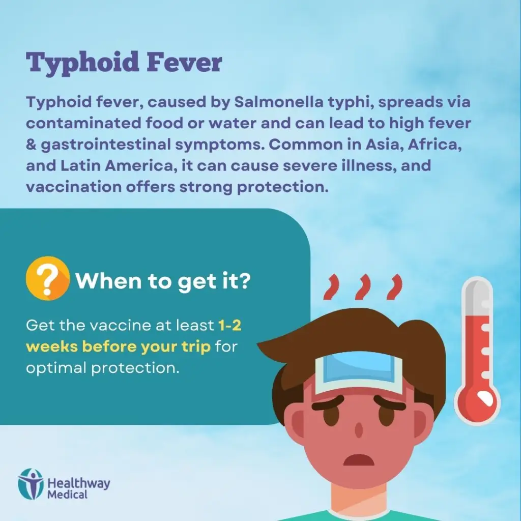 Vaksin Tifoid