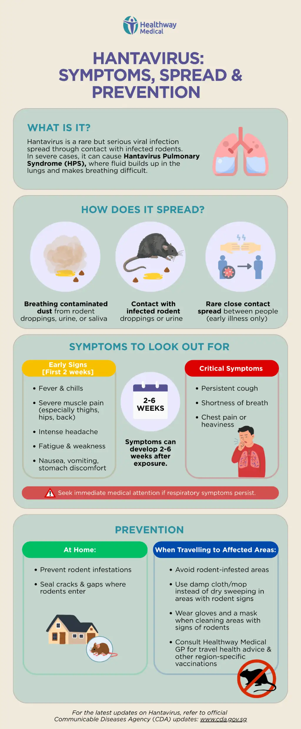 What is Hantavirus?