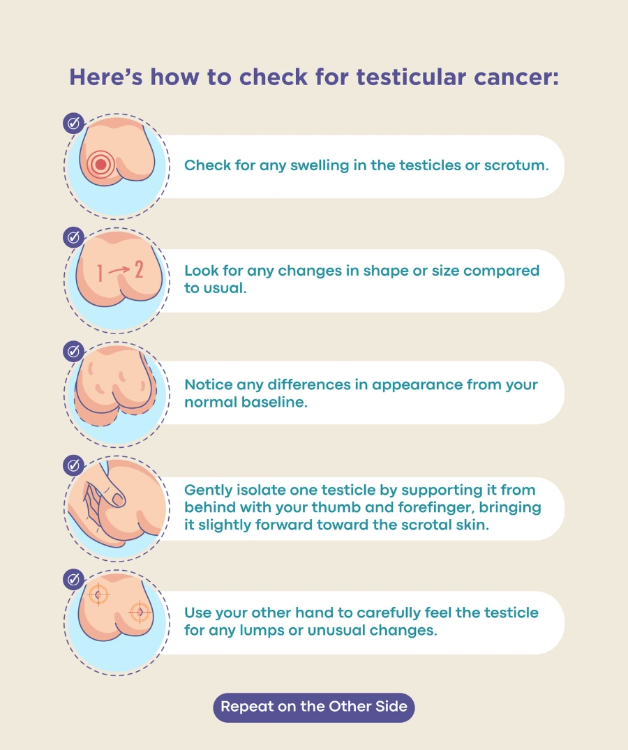 testicular cancer self check