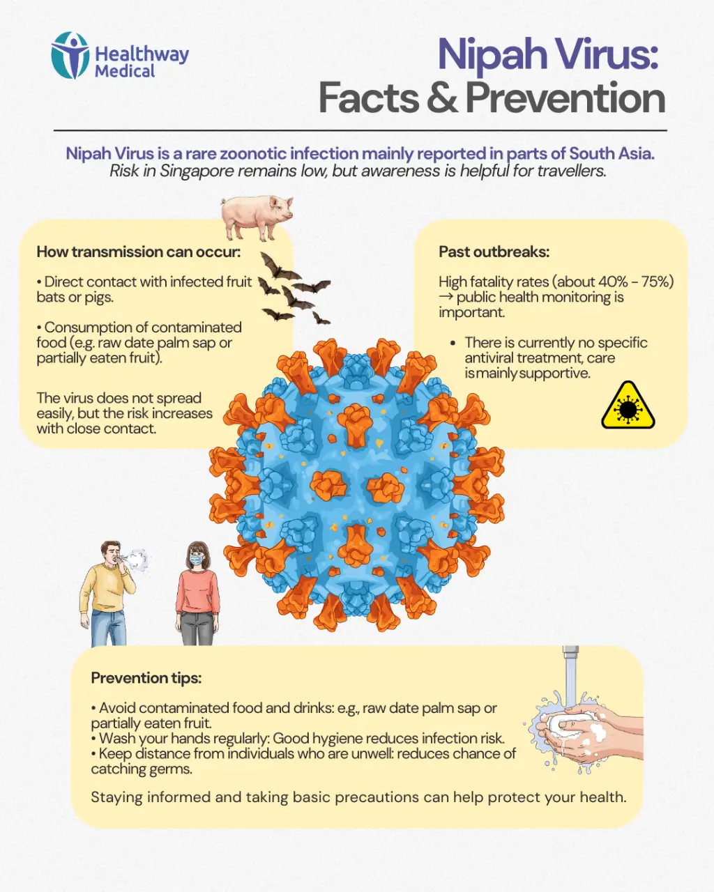 Nipah Virus Infographic