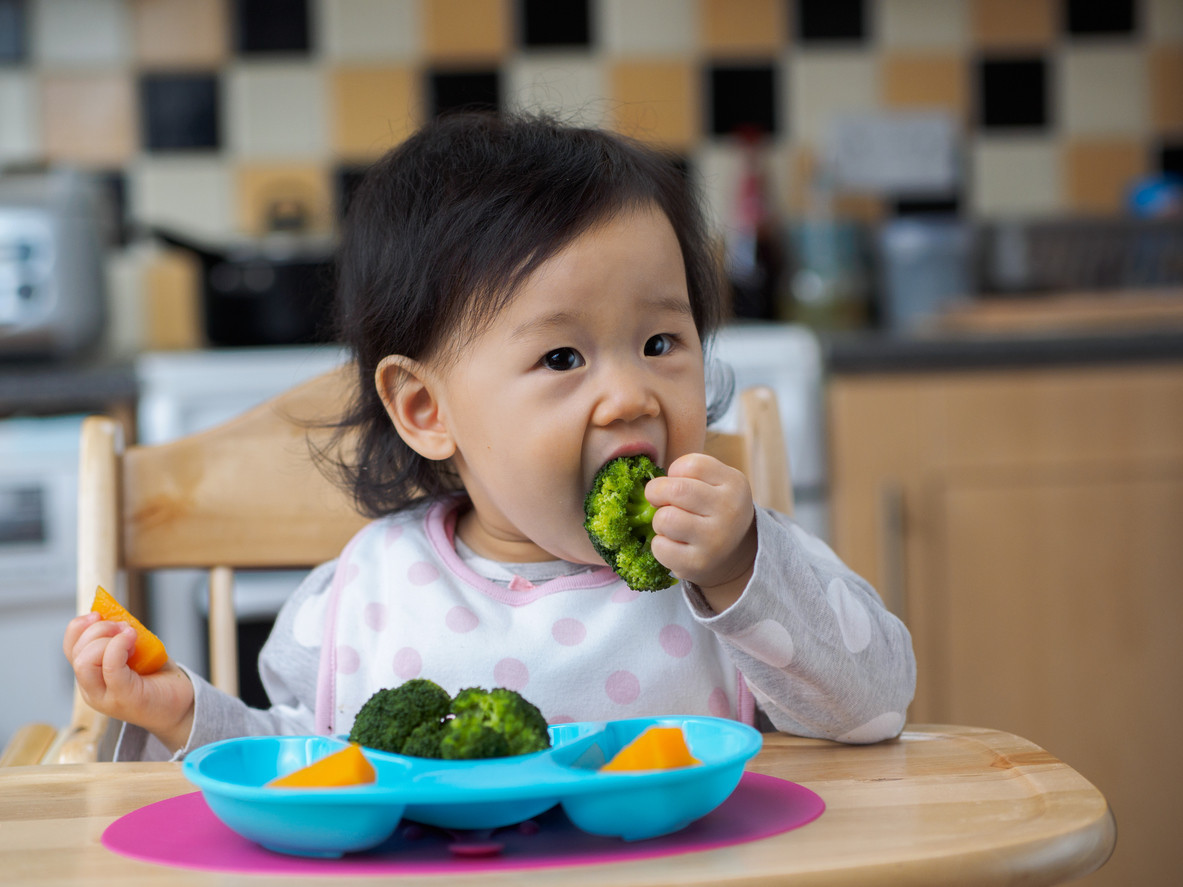 an image of a child eating baby-led weaning