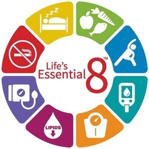 lifes-essential-8-cardiovascualr-health